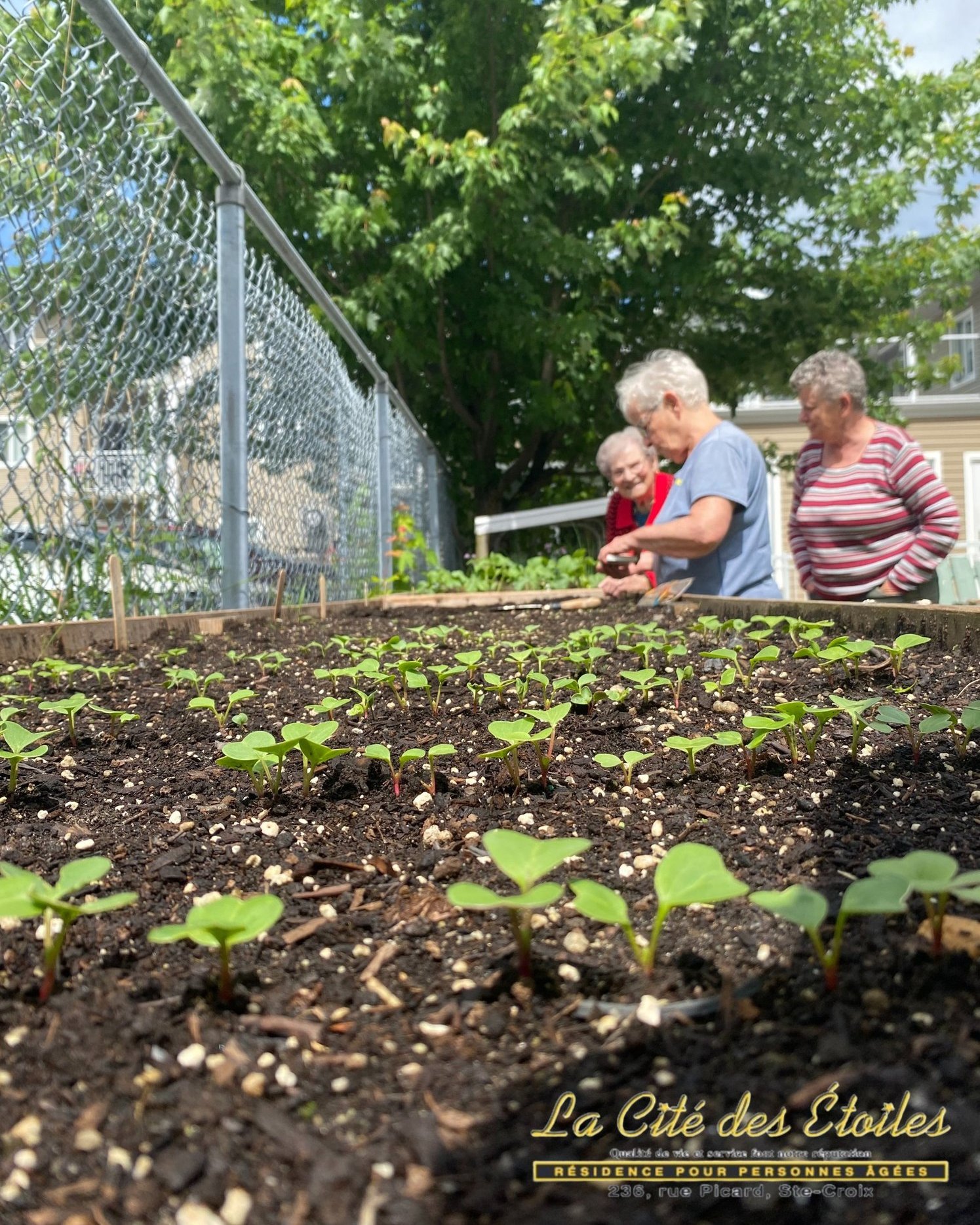La Cité Des Etoiles